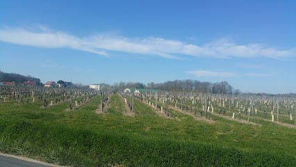 LA PETITE BOURDONNIÈRE, Gîte à Cheverny
