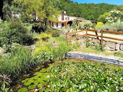 Métairie De Lamourade, Gîte à Saint-Ferriol
