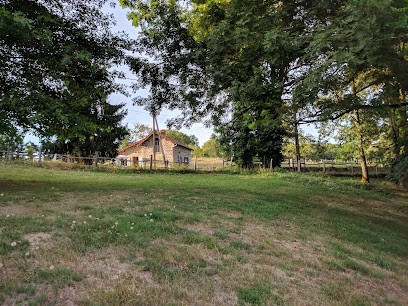 La Bujade, Gîte à Peyrat-la-Nonière