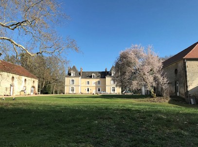 Gite Le Cloriot, Gîte à Saint-Sauveur-en-Puisaye