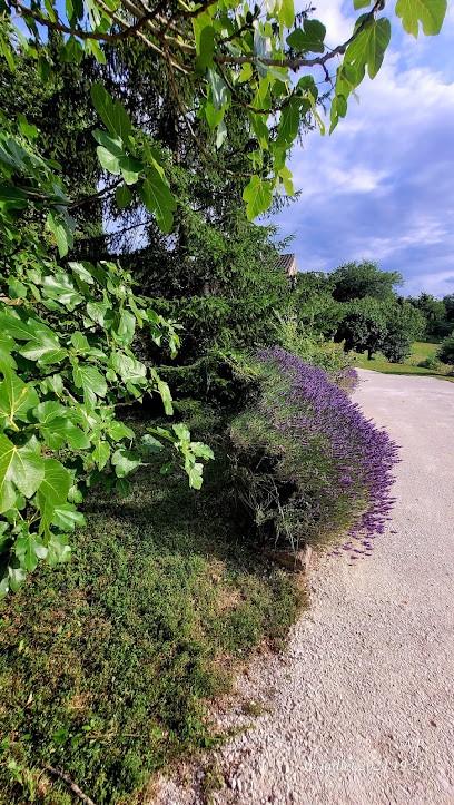 Gîte Les Ecureuils, Gîte à Sainte-Juliette