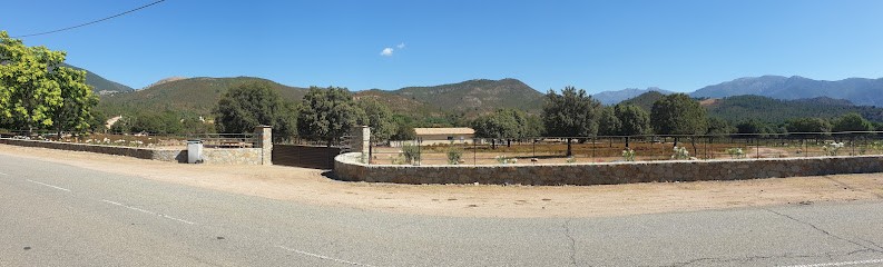 Domaine U Filanciu - Villas Chiara & Ghjulia, Gîte à Moltifao