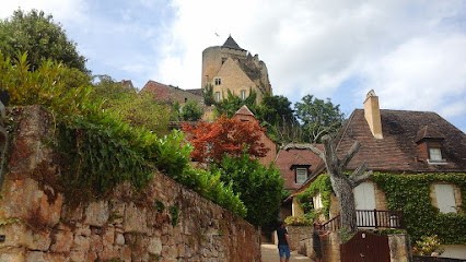 Gîte Au petit bois de buis: Grand gîte avec piscine Gîte rural Sarlat Périgord Noir (Dordogne), Gîte à Vézac
