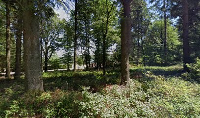 Gîte communal du Gewinnwald, Gîte à Hultehouse