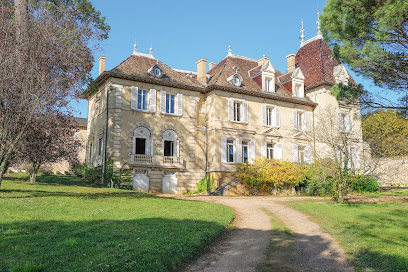 Chateau Du Bost - Blace - Beaujolais - Proche Lyon, Gîte à Blacé