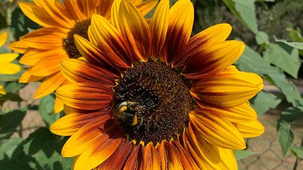 Chestnut Cottage Luxury Gite Rental, Gîte à Fleurac