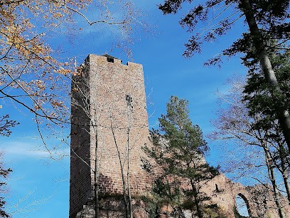 Gîte Des Abeilles Du Kohlberg, Gîte à Wangenbourg-Engenthal