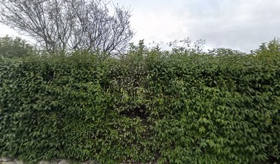 Lou Chambarels, Gîte à Forcalquier