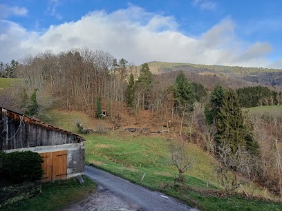 Gite les hambostures, Gîte à Lapoutroie
