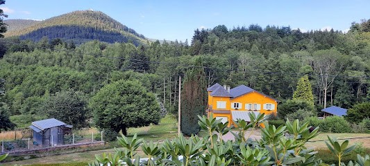 Gite Forestier Du Moulin (10pers) 3 étoiles, Gîte à Raon-sur-Plaine