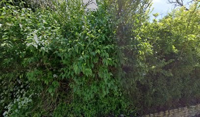 Gîte Rural Villamaria, Gîte à Castelnaudary