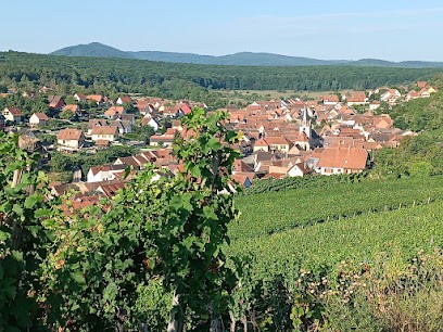 LES GITES DE LA MESANGE, Gîte à Rosenwiller