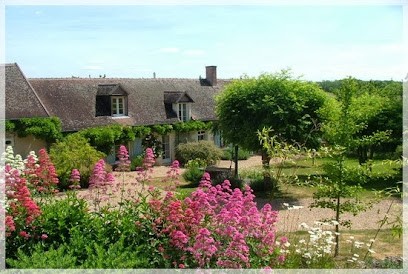 Touraine Bed and Breakfast: La Cadoise, Gîte à Genillé