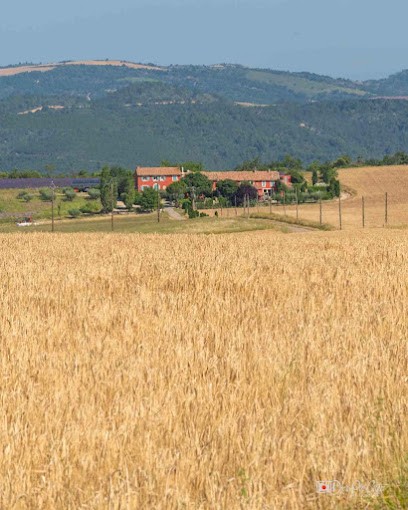 Les gîtes de Molans Grand Jas des lavandes, Gîte à Saint-Jurs