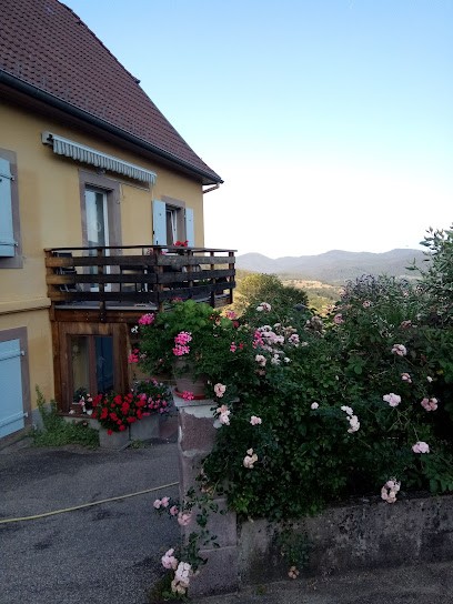 Gite Lili et André, Gîte à Soultzeren