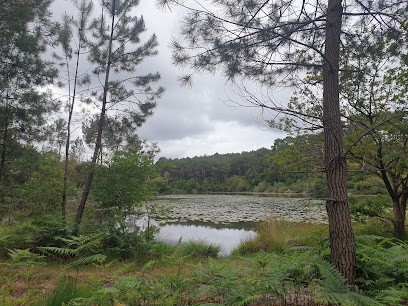 Sylvette Conciergerie Les Arbousiers, Gîte à Léon