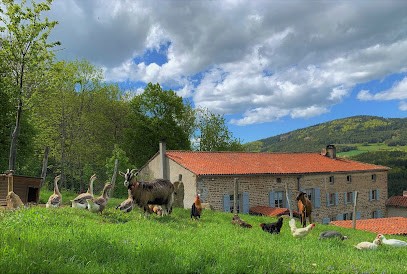 Gîte Au temps Passé ( gÎte de grande capacité /Séjour à la campagne pour vos weekends ), Gîte à Sauvain