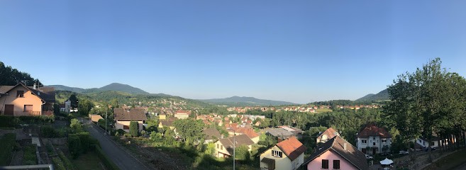 Gîte Belle Vue, Gîte à Villé