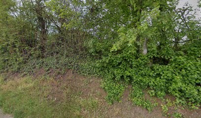 Gite Les Griottes - Sain Bel, Gîte à Sain-Bel