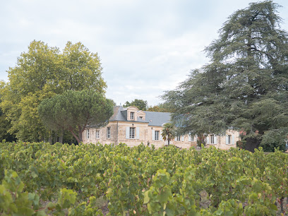 Château De Thésée Gîte à Thésée