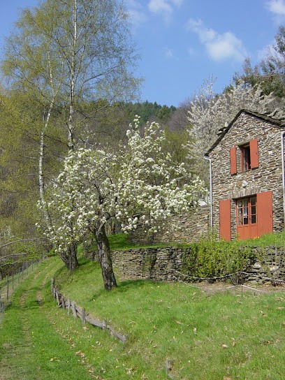 La Ferme Du Bancilhon, Gites Et Piscine, Gîte à Saint-Germain-de-Calberte