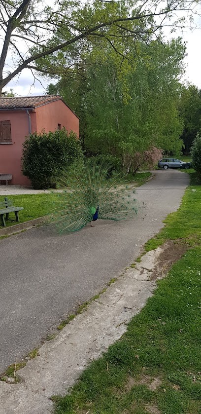 Domaine De L'Hermitage - Gîtes De France, Gîte à Saint-Papoul