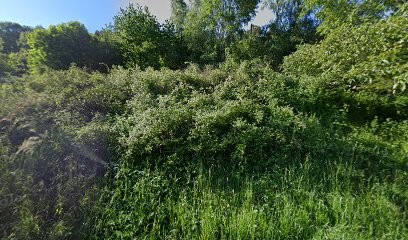 La Source, Gîte à Fouchy
