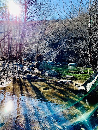 Domaine Du Mas Bresson, Gîte à Dourbies