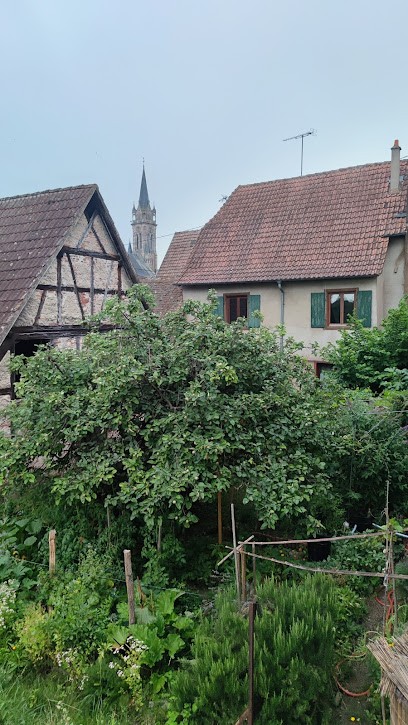 Les Gîtes de Danièle, Gîte à Dambach-la-Ville