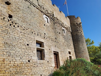 Château De Dulphey Et Domaine, Gîte à Mancey