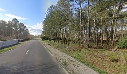 Domaine Pinsol, Gîte à Campet-et-Lamolère