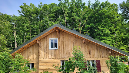 Chalet De La Forêt Natur'gite Sci La Forêt, Gîte à Guewenheim