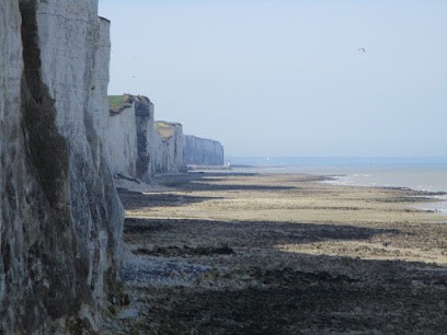 La Chomelière, gîte Les Hirondelles, Gîte à Tilloy-Floriville