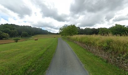 Perigourdine de charme, Gîte à Castels et Bézenac