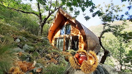 Les Cabanes Du Loup Bleu, Gîte à La Souche