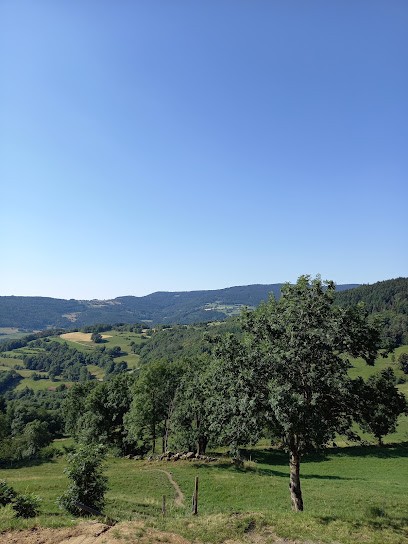 Gîte de la Roche, Gîte à Bourg-Argental