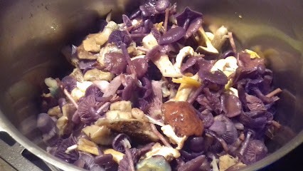 Gîte De L'étang De La Mirandole, Gîte à Saint-Bonnet-de-Cray