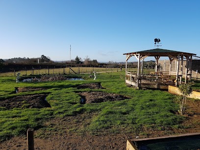 La Ferme de Baptiston, Gîte à Cublac