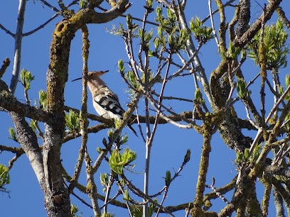 Gîte Du Castor, Gîte à Saint-Satur