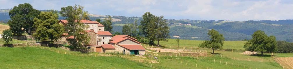 Le Domaine du Peyron : Location de vacances dans gîte de charme grande capacité (14 couchages) proche Saint Étienne avec espace bien-être et SPA au calme en Haute-loire (Animaux admis), Gîte à Monistrol-sur-Loire