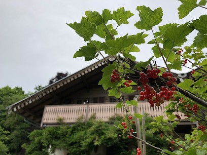 La Datcha Du Parc, Gîte à Husseren-Wesserling