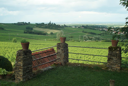 Le Cuvage De Davenay, Gîte à Buxy
