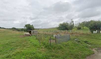 Gîte Le P'tit Olivier, Gîte à Vattetot-sur-Mer