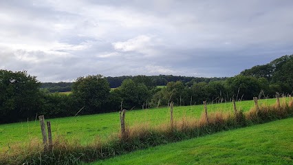 Gîte De La Forterie, Gîte à Marigné-Laillé