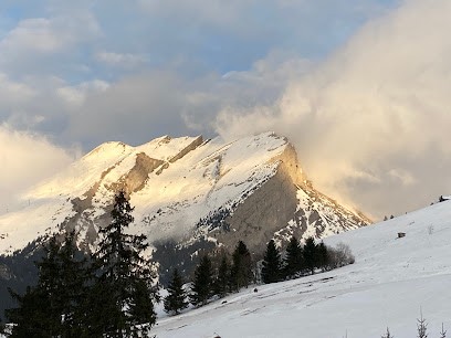 Chalet Feuilleraie, Gîte à La Clusaz