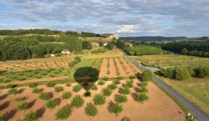 Gites de la Blénie Périgord Noir Dordogne, Gîte à Saint-Julien-de-Lampon
