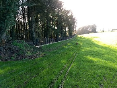 Ty Bois, Gîte à Pluméliau