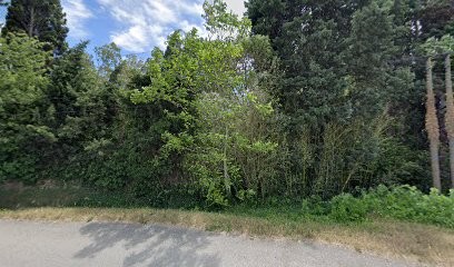 Mas La Sarrasine, Gîte à Tarascon