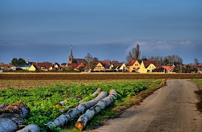 Gite Le Nid Des Hirondelles En Alsace (à 67230 KOGENHEIM), Gîte à Kogenheim