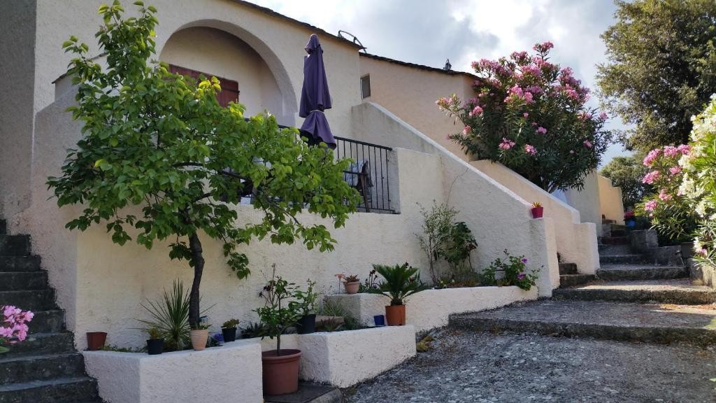 CAMPO D’ELGE, Gîte à Patrimonio